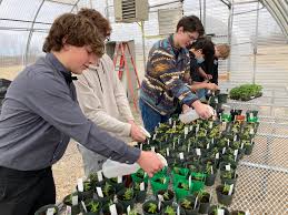 Horticulture